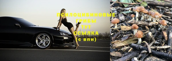 ешки Алексеевка