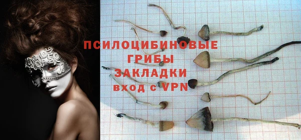 ешки Алексеевка