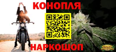 стафф Краснодар