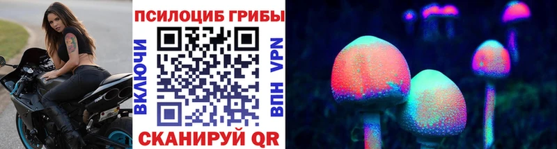 купить закладку  кракен зеркало  Псилоцибиновые грибы Cubensis  Урюпинск 